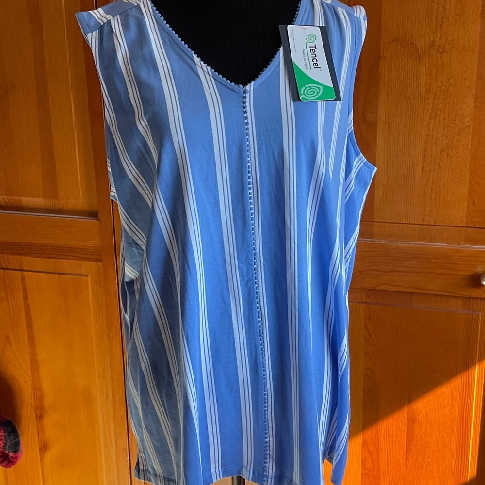 Lands' End Blue and White Striped Tank Top